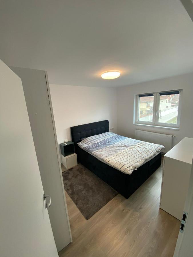 Apartament „Viena” - 2 Camere Şelimbăr Eksteriør billede